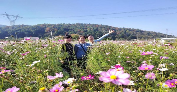 澧縣土地資源,澧縣公共基礎(chǔ)設(shè)施,澧縣工商業(yè)信息咨詢(xún),澧縣澧州實(shí)業(yè)發(fā)展有限公司